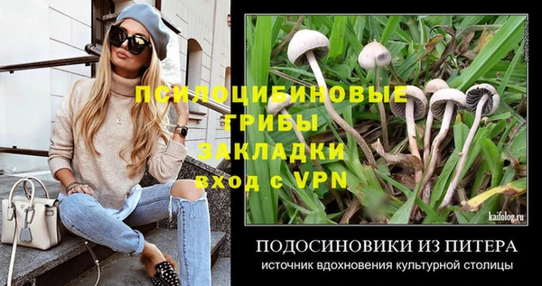 мяу мяу мука Алзамай