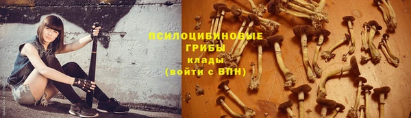ПСИЛОЦИБИНОВЫЕ ГРИБЫ Алексин