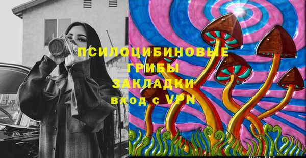ПСИЛОЦИБИНОВЫЕ ГРИБЫ Алексин