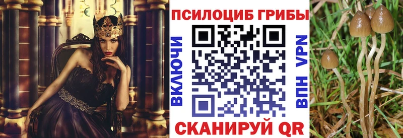 Галлюциногенные грибы мицелий Пугачёв