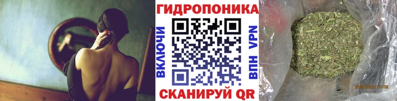Конопля SATIVA & INDICA  закладка  Пугачёв 